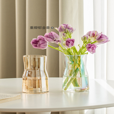 法耐(FANAI)郁金香小花瓶摆件插花客厅玻璃透明水养水培鲜花ins现代简约