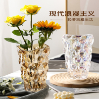 法耐(FANAI)玻璃花瓶摆件客厅插花瓶轻奢高档网红水培花瓶高级感ins风