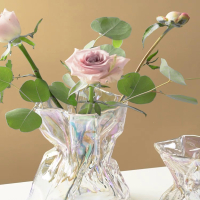 法耐(FANAI)花瓶摆件客厅ins风玻璃插花水养水培鲜花高档高级感轻奢小众