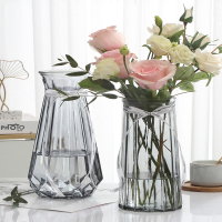 法耐(FANAI)二件套大号玻璃花瓶透明欧式水养百合干花富贵竹花瓶插花摆件