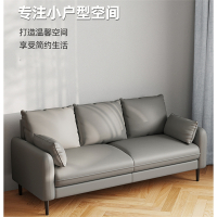 聚宸兴小户型科技布沙发双人客厅1.2米简约现代3卧室两三人位公寓出租房
