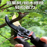 法耐(FANAI)修枝剪园艺剪刀剪树枝园林修剪果树修枝花艺修花剪剪枝剪粗枝