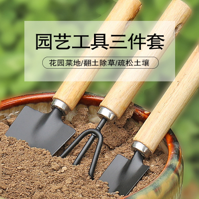 法耐(FANAI)种花工具家用套装种菜栽花养花多肉铲松土耙子铁锹园艺小铲子三件