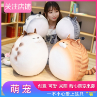 日系超软猫咪公仔玩偶毛绒玩具智扣女布娃娃床上睡觉小猫抱枕生日礼物