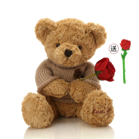 泰迪熊毛绒玩具公仔毛衣熊智扣抱抱熊猫生日礼物大布娃娃玩偶