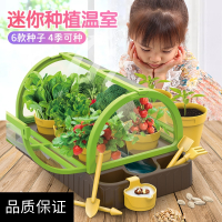 静蝉幽格儿童阳光房种植小学生花房种菜玩具植物观察科学实验套装手工diy