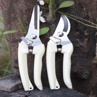 不锈钢强力园林园艺修枝剪法耐家用省力修花修建树枝花卉剪刀