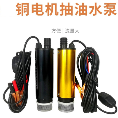 法耐铜电机抽柴油泵12V24伏220小型水泵电动抽子抽油神器加油机