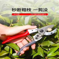 阿斯卡利修枝剪园艺剪枝剪刀果树修枝园林工具花艺花卉剪刀剪树枝专用剪刀
