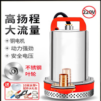 阿斯卡利直流潜水泵12V24V48V60V家用电瓶车抽水泵小型电动农用灌溉抽水机