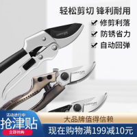 龙韵(LONGYUN)园艺剪刀修枝剪果树剪刀多功能家用省力树枝剪子工具修花剪刀