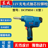 东成(Dongcheng)充电式抽芯拉铆枪DCPM50E型锂电铆钉枪东城12v电动铆接工具