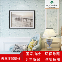 北疆硅藻泥电视背景墙图案内墙环保涂料儿童房墙纸乳胶漆 丝网印-生如夏花