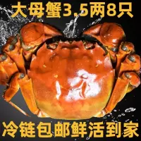 餐中王鲜活大闸蟹3.5两母8只装活蟹闸蟹螃蟹阳澄湖镇发货苏州鲜活水产品