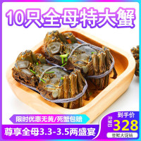 餐中王清水全母大闸蟹鲜活3.3-3.5两10只大规格母蟹螃蟹水产礼盒苏州阳澄湖镇发货