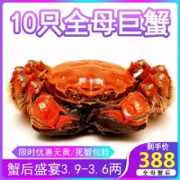 餐中王清水大闸蟹鲜活全母蟹3.9-3.6两10只大规格鲜活螃蟹礼盒苏州阳澄湖镇发货
