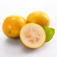 广西冰糖香妃柚脆皮迷你青柚滑皮金桔 1.5kg