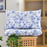 2只一对装枕头可水洗护颈椎定型枕头枕芯46*72cm B240