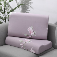 高品质枕套(单只装 2只起拍)乳胶枕枕头套成人40X60儿童30X50记忆枕套四季 AWANHOO A1186