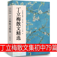 丁立梅散文集初中79篇全套经典散文作品 丁立梅的书精选暖心美文系列自选集 比时光更坚强 捡得一颗欢喜心 让梦想拐个弯 长