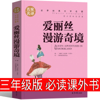 爱丽丝漫游奇境记三年级正版书卡罗尔六年级原版爱丽丝梦游仙境书四五六年级长春江苏指定爱丽丝没有仙境奇遇记北京出版社非注音版