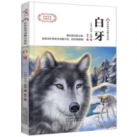 正版白牙书杰克伦敦著中文校园指定中小学生阅读课外书三四五六七年级8-9-10-12-15岁儿童文学囯际大奖动物小说初中生