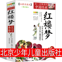 红楼梦北京少年儿童出版社青少年版五年级版儿童版小学生版原著人民正版珍藏版曹雪芹原版教育六年级白话文整本阅读四大名著完整版
