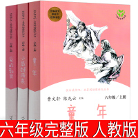 人民教育出版社六年级版童年书小英雄雨来管桦爱的教育亚米契斯原著完整版高尔基的少年儿童正版上文学6年级课外书五年级人教版