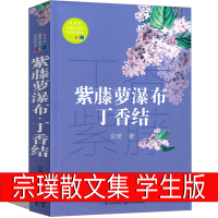 紫藤萝瀑布 丁香结 宗璞散文集37篇六年级小学生课外书正版七年级初中生上册下册宗璞的书散文精选好一朵木槿花 云野葫芦引北