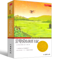 金龟虫在昏飞起 格里珀新蕾出版社二年级三年级三年级五年级六年级小学生正版必读课外书儿童读物阅读国际大奖小说系列非注音版