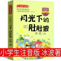 月光下的肚肚狼注音版正版冰波著小学生三年级二年级一年级故事书必读课外书 月亮下的肚肚狼 新蕾绘本全套 文化发展出版社