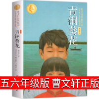 青铜葵花正版曹文轩六年级五年级四年级三年级小学生课外书阅读书籍中国少年儿童出版社少儿读物江苏浙江指定书籍清铜葵花语文