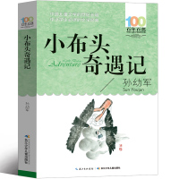 小布头奇遇记孙幼军二年级三年级一年级小学生正版必读小布头历险记旅行记课外书阅读书籍儿童读物6-7-8-10岁非注音版