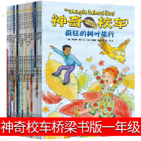神奇校车一年级必读全套桥梁书版第五辑图画书版阅读版全20册动画版小学生二年级系列绘本经受暴风雨神奇的校车乔安娜非注音版拼