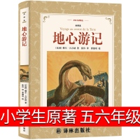 译林出版社 地心游记书正版 小学生原著五六年级凡尔纳著六年级课外书五年级四年级世界名著科幻小说无删减6年级课外阅读书籍必