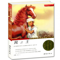 风(升级版)/国际大奖小说 儿童读物/教辅 纽伯瑞儿童文学奖金奖 风