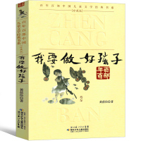 我要做个好孩子蓓佳正版书三年级我要做好孩子四年级小学生五年级四五我要做一个好孩子倾情小说系列湖北少年儿童出版社非注音版