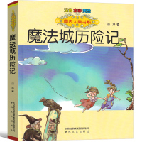 魔法城历险记 注音全彩美绘国内大奖书系 一二年级课外书经典读物 中小学课外阅读童书 儿童童话故事书儿童文学