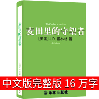 麦田里的守望者正版书中文原著译林出版社原版 麦田的守望者 中文版 非英文版 非中英文对照版