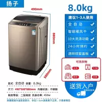 扬子洗衣机全自动小型家用宿舍学生小洗脱一体出租房用扬子XQB85-5155_8.0kg智能风干蓝光免清洗