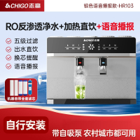 志高(CHIGO)净水器家用直饮机加热一体机厨房RO反渗透净水机过滤器壁挂式_银色HR103自行安装语音播报加热