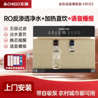 志高(CHIGO)净水器家用直饮机加热一体机厨房RO反渗透净水机过滤器壁挂式_金色HR103上门安装语音播报加热