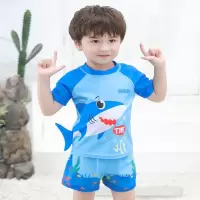 儿童泳衣男童泳裤中大童夏季分体游泳衣小宝宝温泉游泳套装备