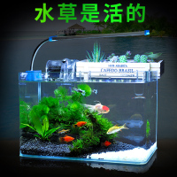真水鱼缸水族箱小型桌面生态客厅家用装饰玻璃乌龟缸迷你金鱼缸