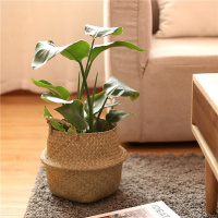 北欧手工编织花盆编收纳篮田园藤编摆件落地创意室内花篮大