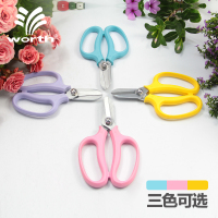 沃施worth园艺花艺剪刀宽头家用花剪鲜花花道剪花枝树枝修花工具