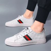 梵克公牛春季男鞋潮流白色男士休闲鞋帆无内里鞋韩版小白鞋男生子男