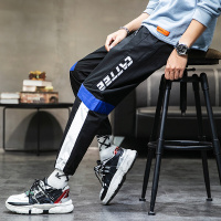 梵克公牛青年薄款流裤子男 2020热卖男士春季工装裤新款裤子帅气宽松下装 黑色