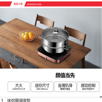 美的电磁炉C22-S301