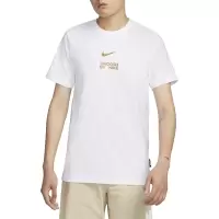 NIKE/耐克短袖T恤运动休闲舒适透气针织圆领男装FD1245-100 C